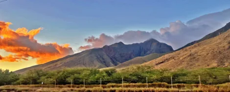 Photo of the Day: The Valley Voice